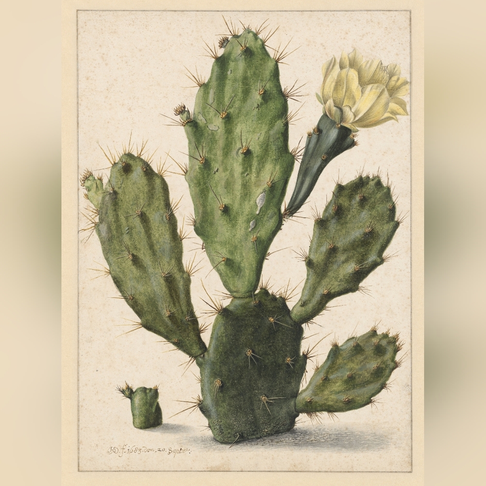 Botanical Cactus Art Print with Yellow Flower